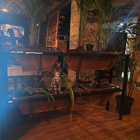 Portelli Hostal Zona G- Para Extranjeros Μπογκοτά Εξωτερικό φωτογραφία